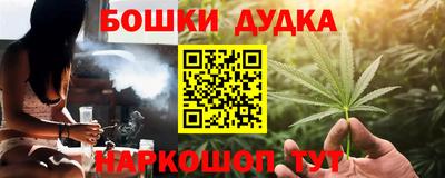 крисы Кинель