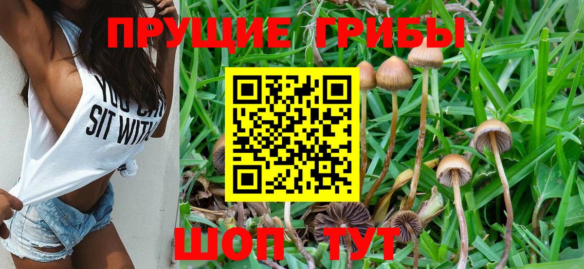 Псилоцибиновые грибы GOLDEN TEACHER Ирбит