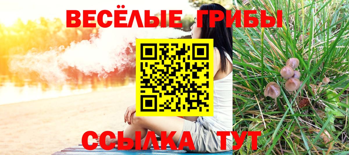 Псилоцибиновые грибы мухоморы  Галлюциногенные грибы GOLDEN TEACHER  Вход с VPN  Ирбит 